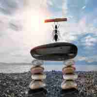 免‌费​关​键﻿词​趋﻿势‍教﻿程‍